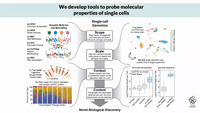 Advances in single-cell combinatorial indexing