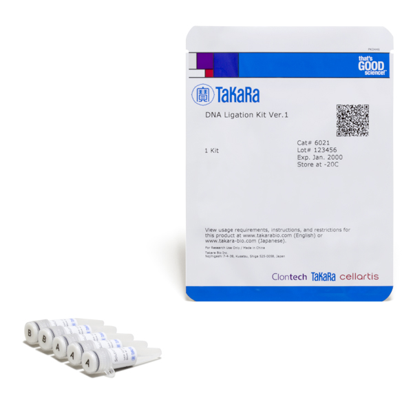 6021: DNA Ligation Kit, Version 1