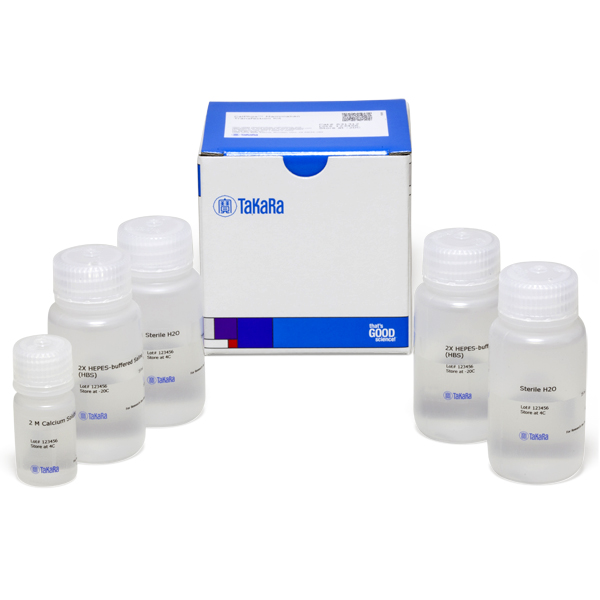 631312: CalPhos Mammalian Transfection Kit