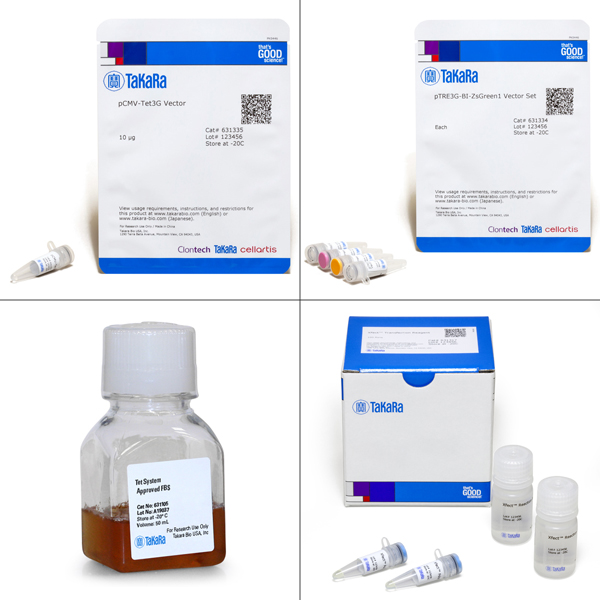 631339: Tet-On 3G Bidirectional Inducible Expression System (with ZsGreen1)
