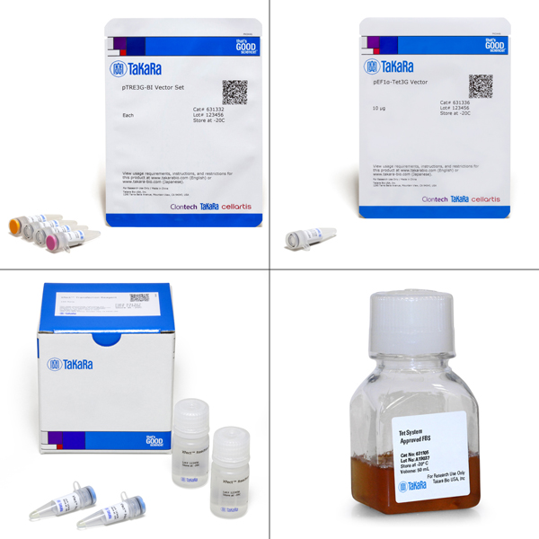 631340: Tet-On 3G Bidirectional Inducible Expression System (EF1alpha Version)