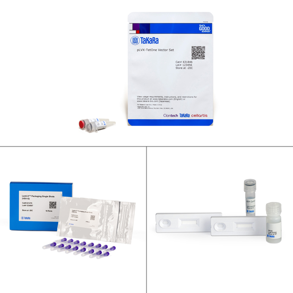 631844: Lenti-X Tet-One Inducible Expression System