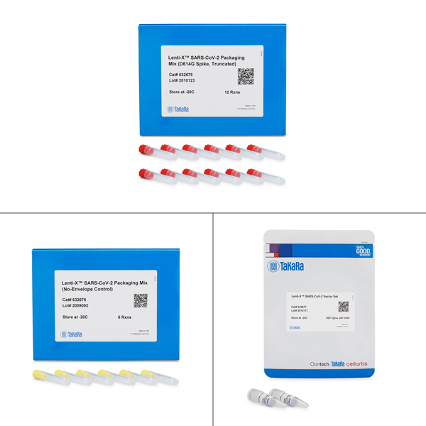 632671: Lenti-X SARS-CoV-2 Packaging Single Shots (D614G Spike, Truncated)