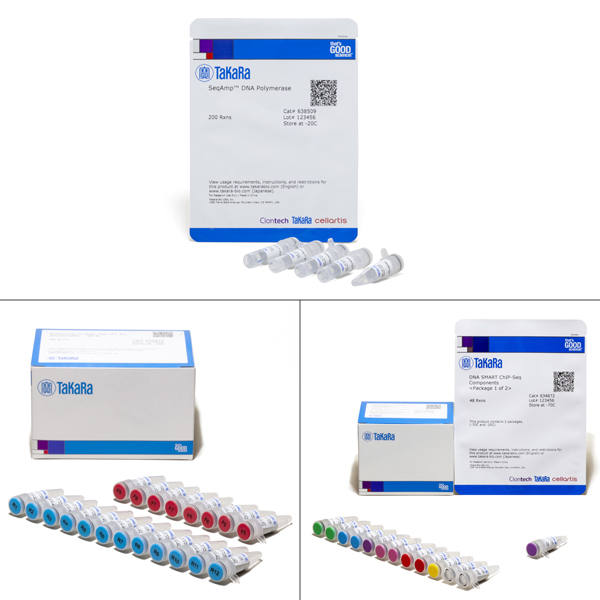 634867: DNA SMART ChIP-Seq Kit - 48 B