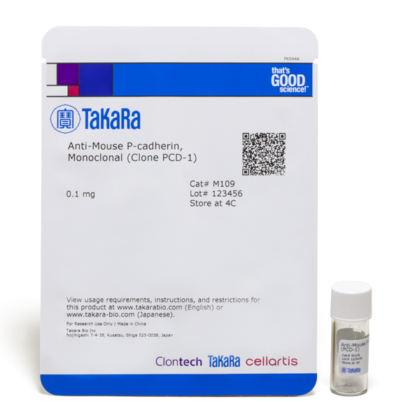M109: Monoclonal Anti-mouse P-cadherin (Clone PCD-1 )