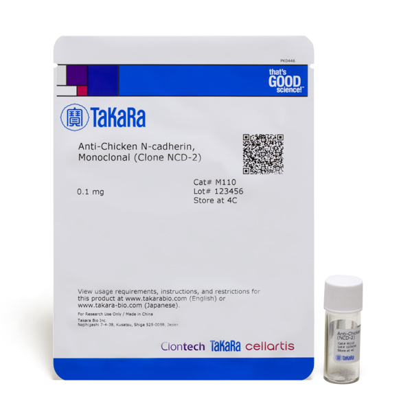 M110: Monoclonal Anti-chicken N-Cadherin (Clone NCD-2)