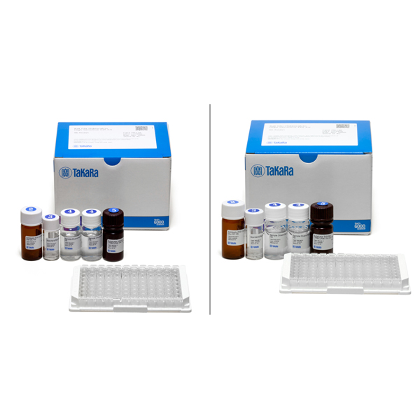 MK147: Gla/Glu Osteocalcin High Sensitive EIA Set (Rat)