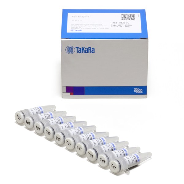 MK502: TdT Enzyme