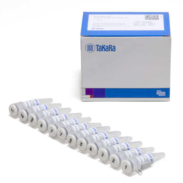 R022A: PrimeScript High Fidelity RT-PCR Kit