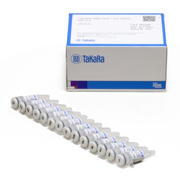 RR019A: RNA PCR Kit (AMV) Version 3.0