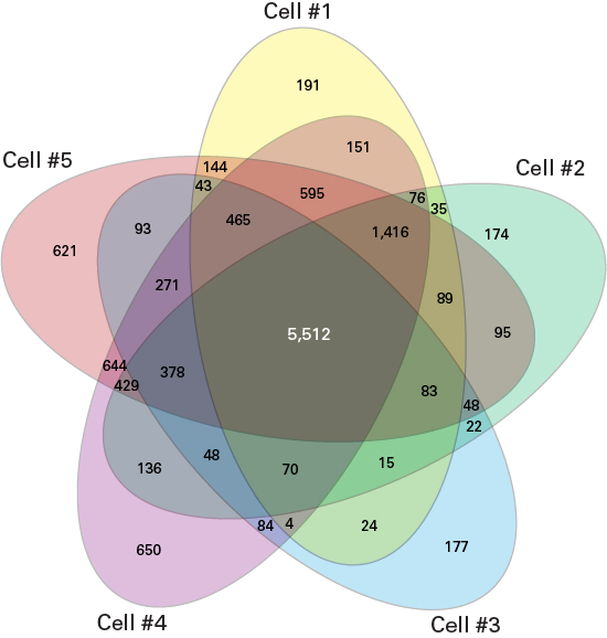 Figure 3. Venn diagram showing the overlap in the transcripts