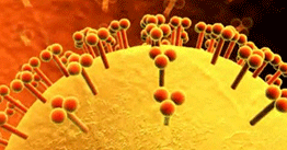 Simplifying flu vaccine research