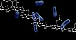 1.15 | Building better biological systems