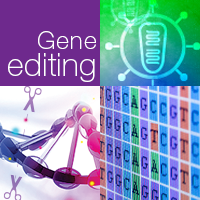 Recent advancements in the field of gene editing.