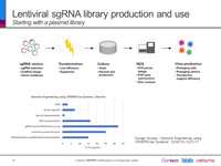 Advantages and challenges of pooled libraries 