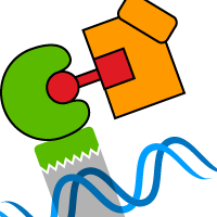 iDimerize technology can be used to induce transcription of target genes