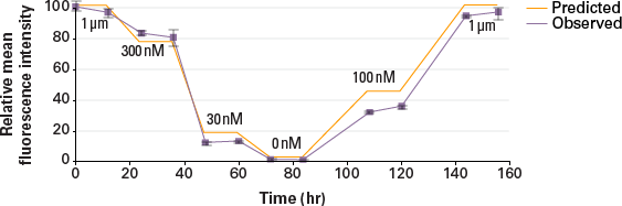 Predictable and reversible, Shield1-dependent regulation of intracellular protein levels