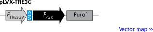 pLVX-TRE3G response vector