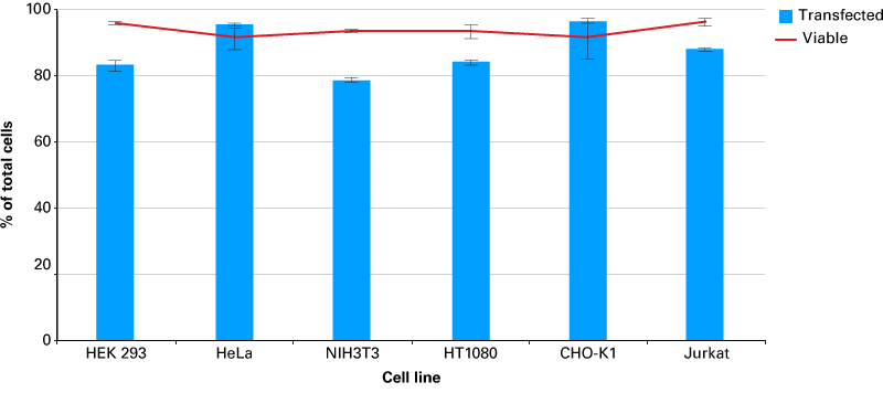 Efficient transfection of microRNA into 6 mammalian cell lines.