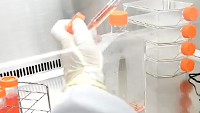Preparation of AAV2 extract from cells
