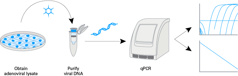 qPCR titration workflow