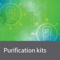 Purification of lentivirus from packaging supernatants