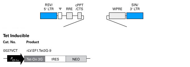 Expression plasmid for inducible expression
