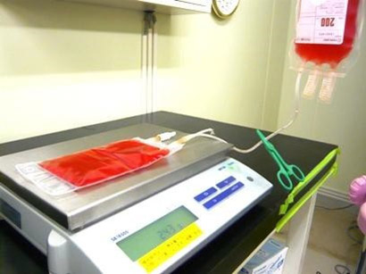 Using a scale to measure the amount of media transferred between CultiLife bags that are directly connected