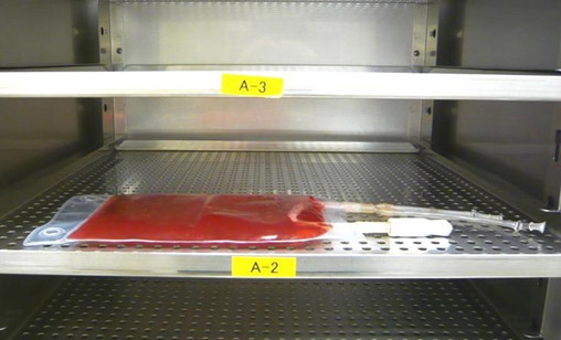 Laying a CultiLife bag flat in an incubator