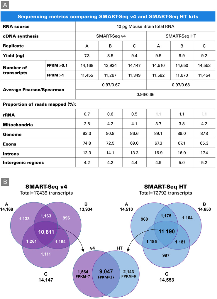 Transcriptomic profile