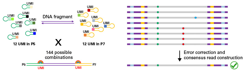 Unique molecular identifier design for error reduction