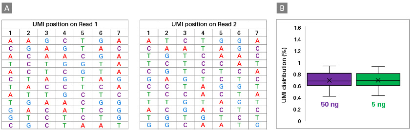 UMIs selected for high performance and even distribution