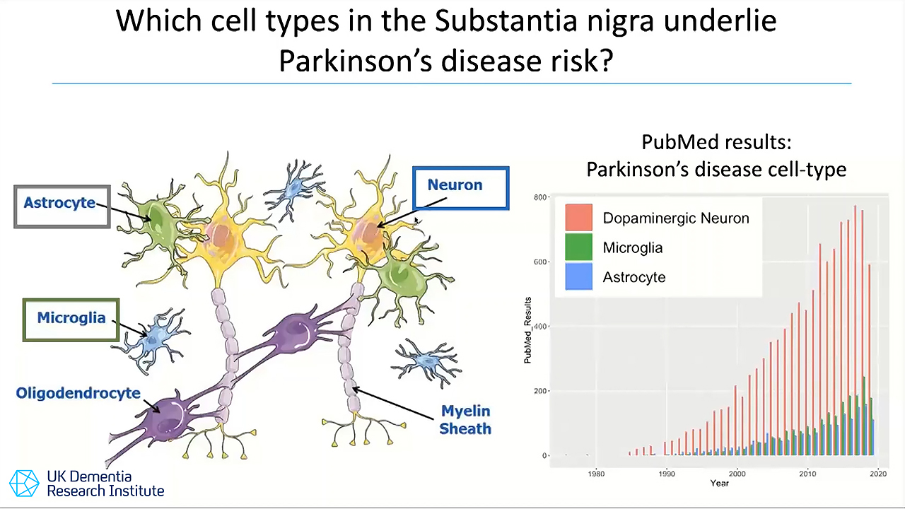 Single-cell atlases of the substantia nigra identify Parkinson's disease risk-associated cell types and new gene targets