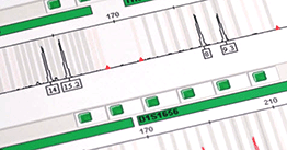 Video: Forensic analysis with SpeedSTAR polymerase