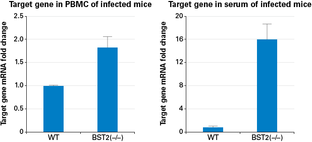 Relative expression levels of the target gene as determined by qPCR. The fold increase in expression of the target gene in BST2(–/–) mice is shown for PBMC and serum samples.
