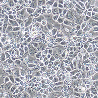 Stem cell frequently asked questions
