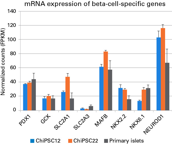 hiPS cell-derived beta cells consistently express key beta cell mRNAs.