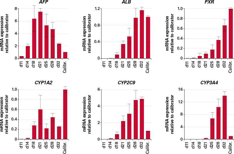 mRNA expression analysis indicates expression of key cytochrome P450 genes in hepatocytes generated using the iPS Cell to Hepatocyte Differentiation System protocol.