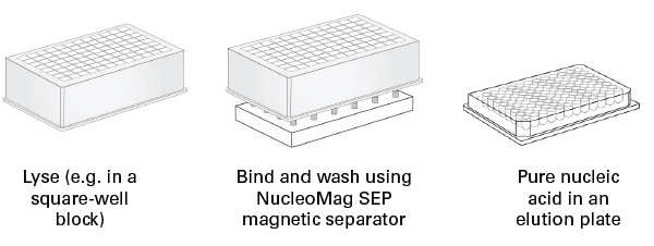 NucleoMag SEP