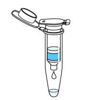 NucleoSpin RNA Plus XS Column