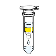 NucleoSpin gDNA Removal Column XS