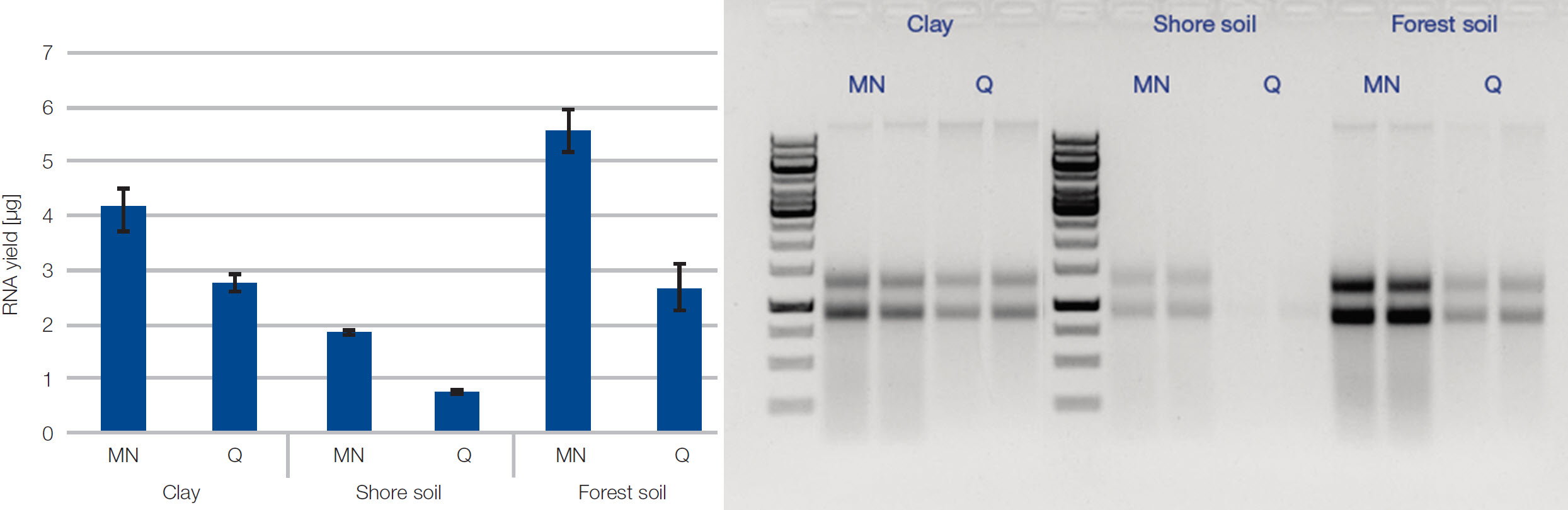 High RNA yield with NucleoBond RNA Soil