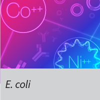 Bacterial Expression Systems