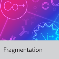 Protein fragmentation