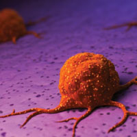 Immunotherapy research