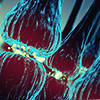 Alzheimer's disease research