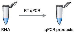One-step RT-qPCR protocol schematic