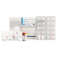 Image of NucleoSpin Mycoplasma DNA kit components
