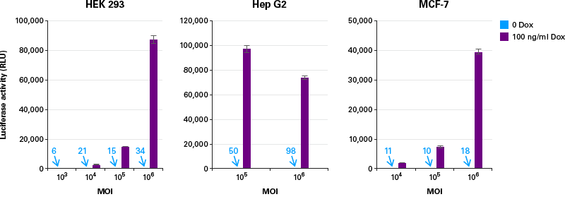 Transduction and induction in dividing cell lines with different MOIs of TetOne-Luc Control AAV