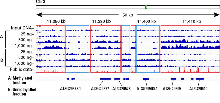 Distinct methylation patterns are observed in aligned NGS data of libraries generated from methylated and unmethylated DNA fractions